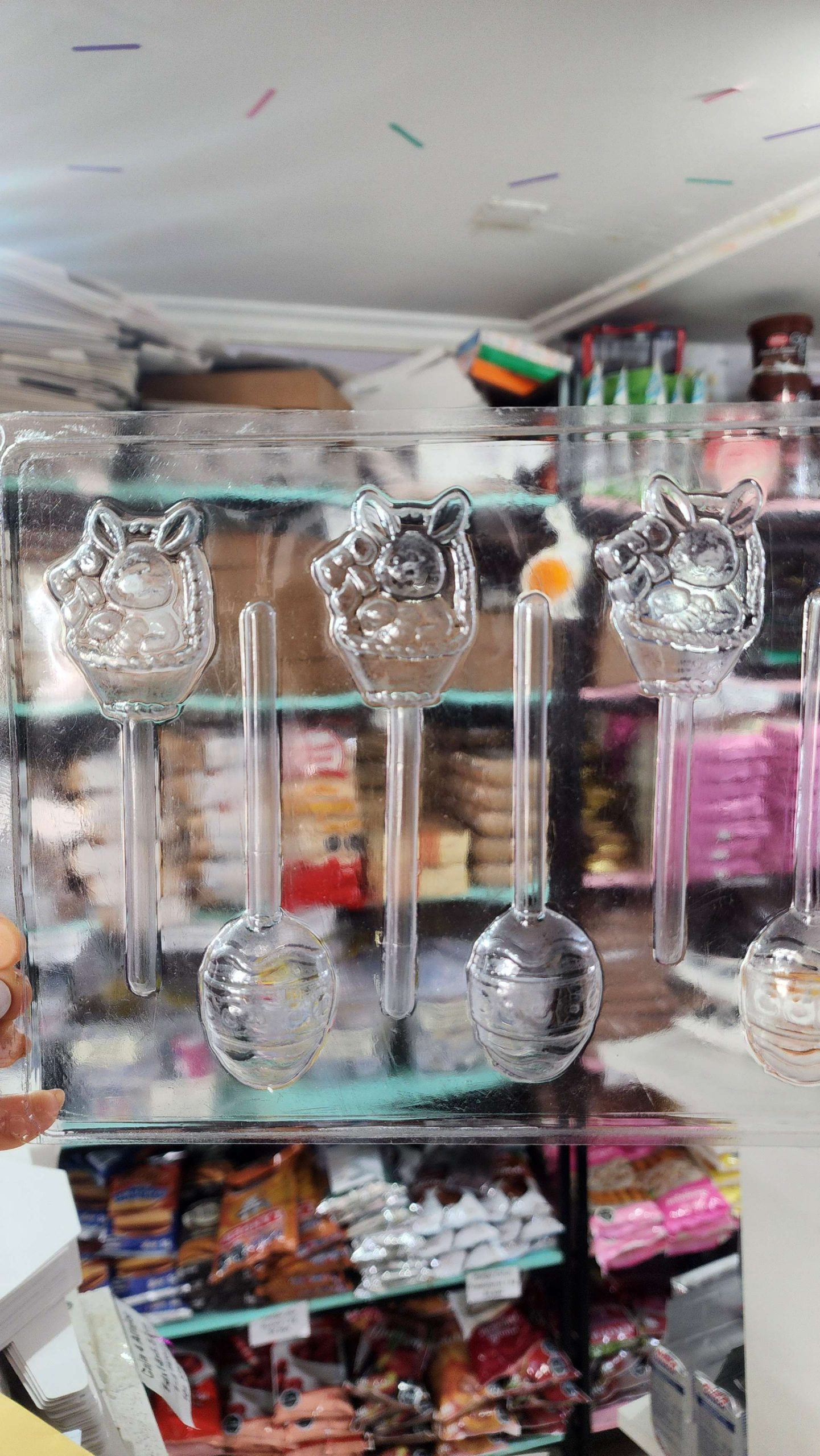 Puma_20260224_164733