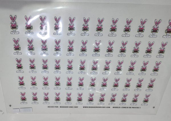 Puma_20260227_140902