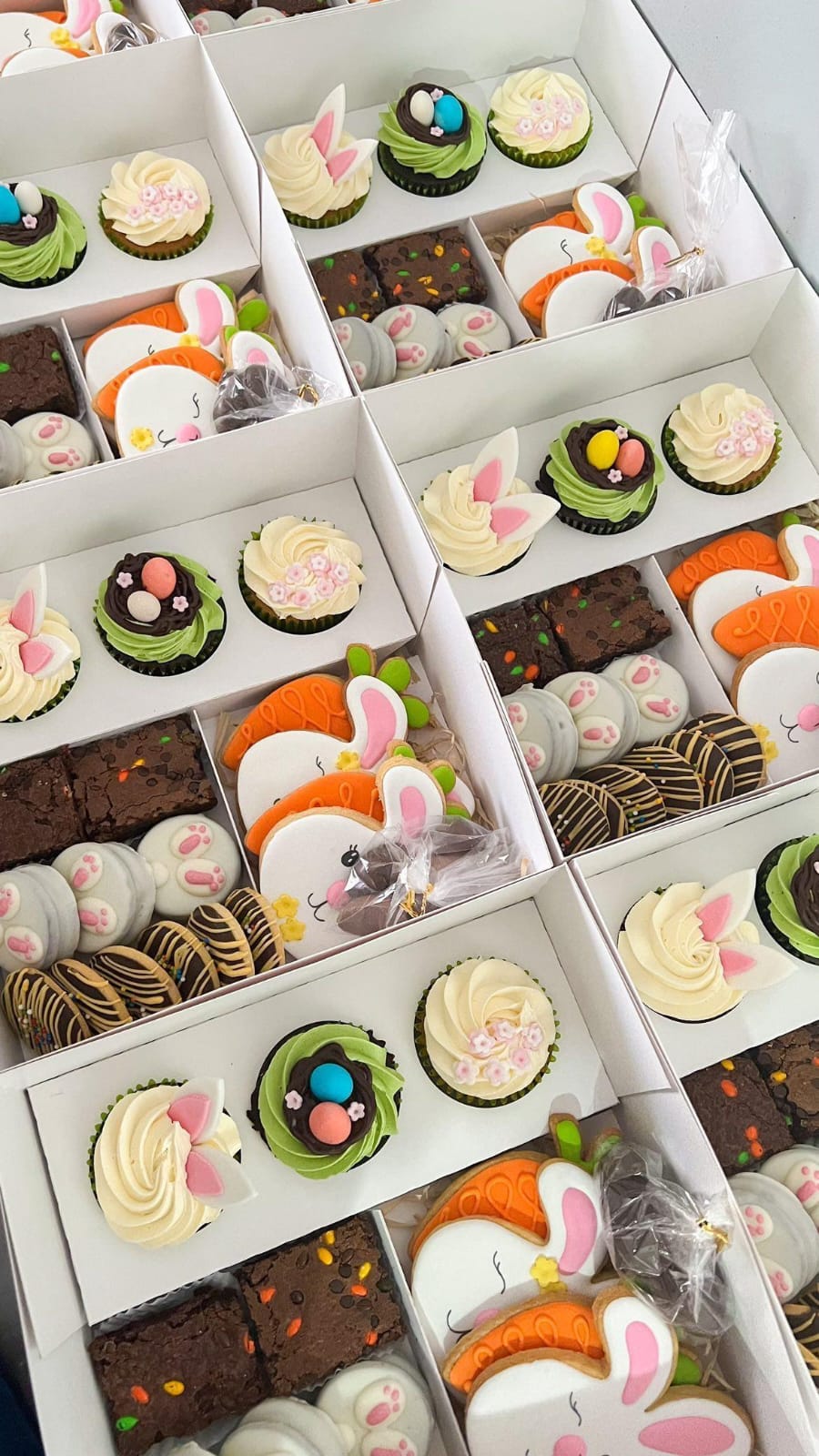 IMG-20230220-WA0078(4)