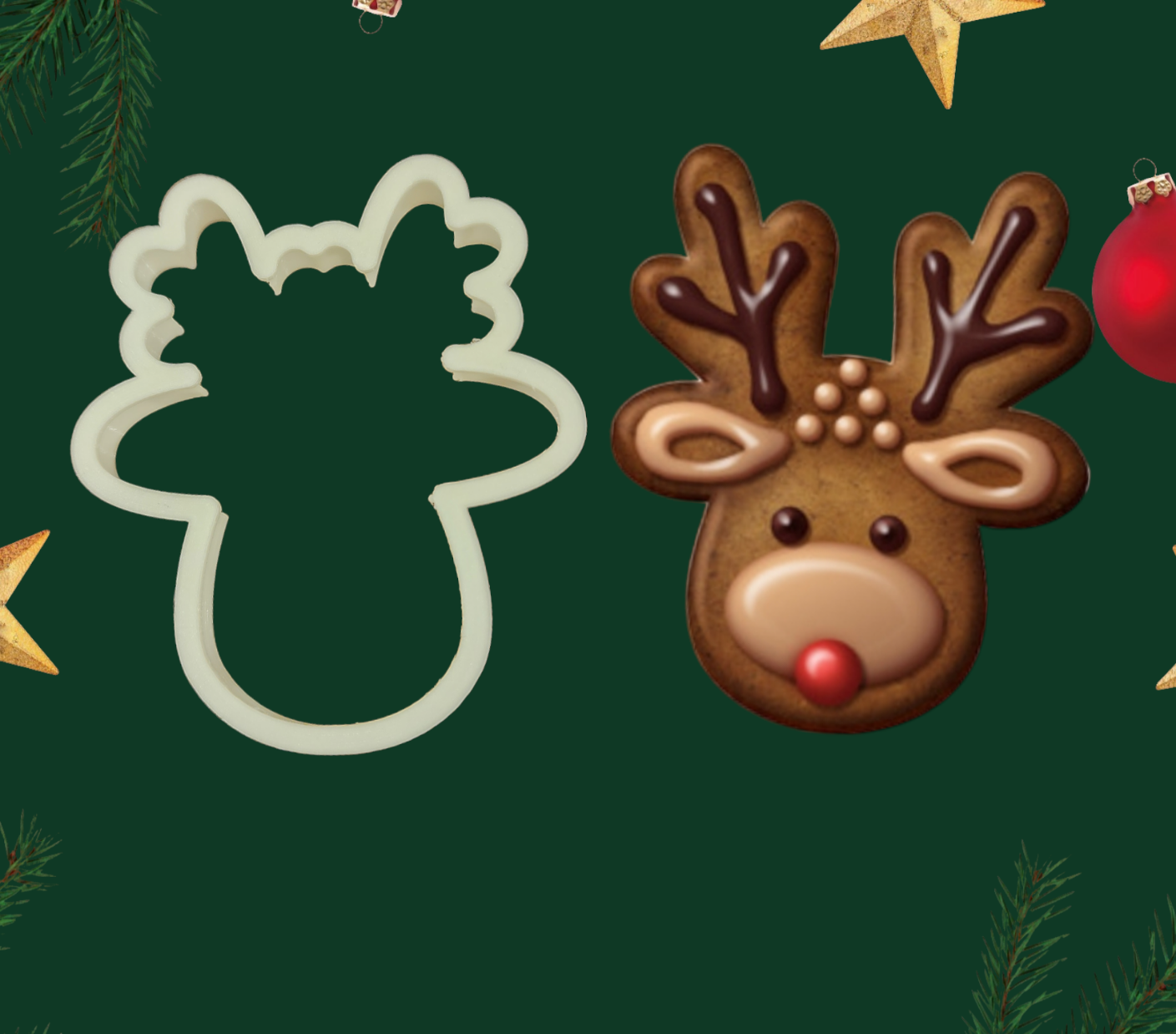 PhotoRoom-20231105_234350