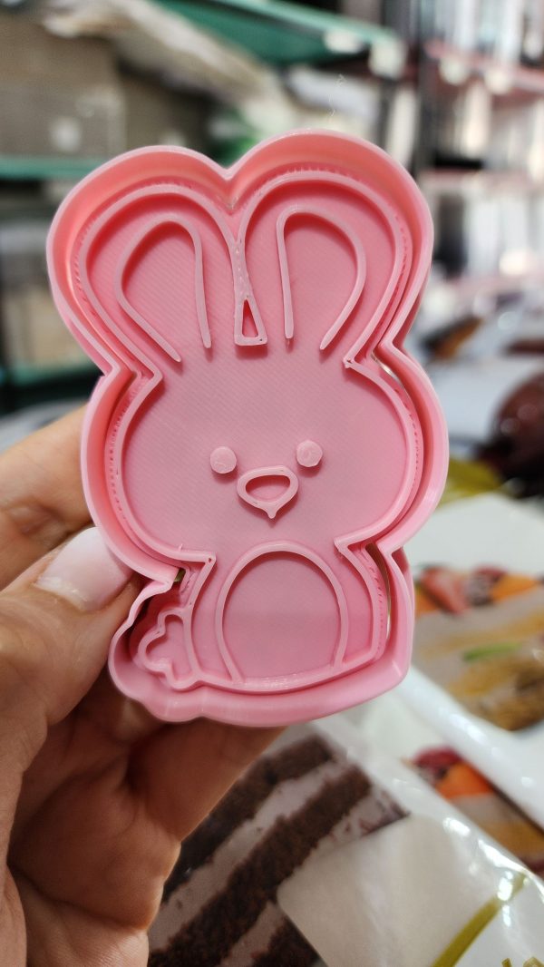 Puma_20260211_170343