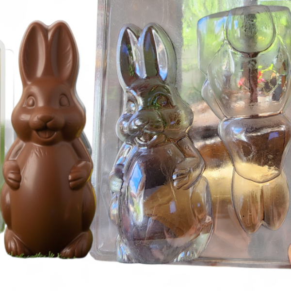 Puma_20260220_104954