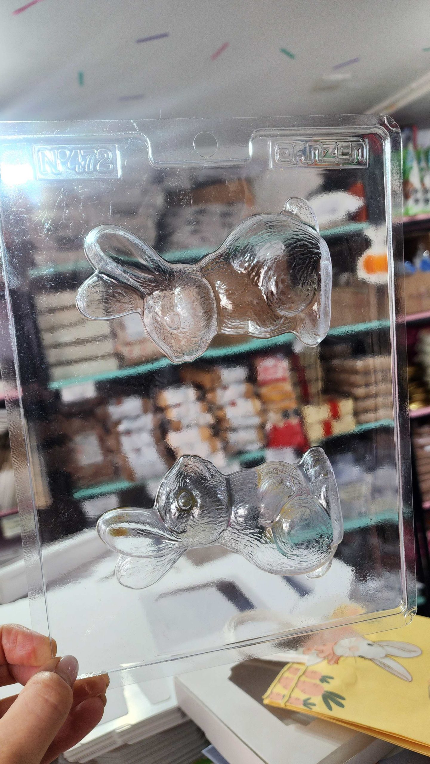 Puma_20260224_164558