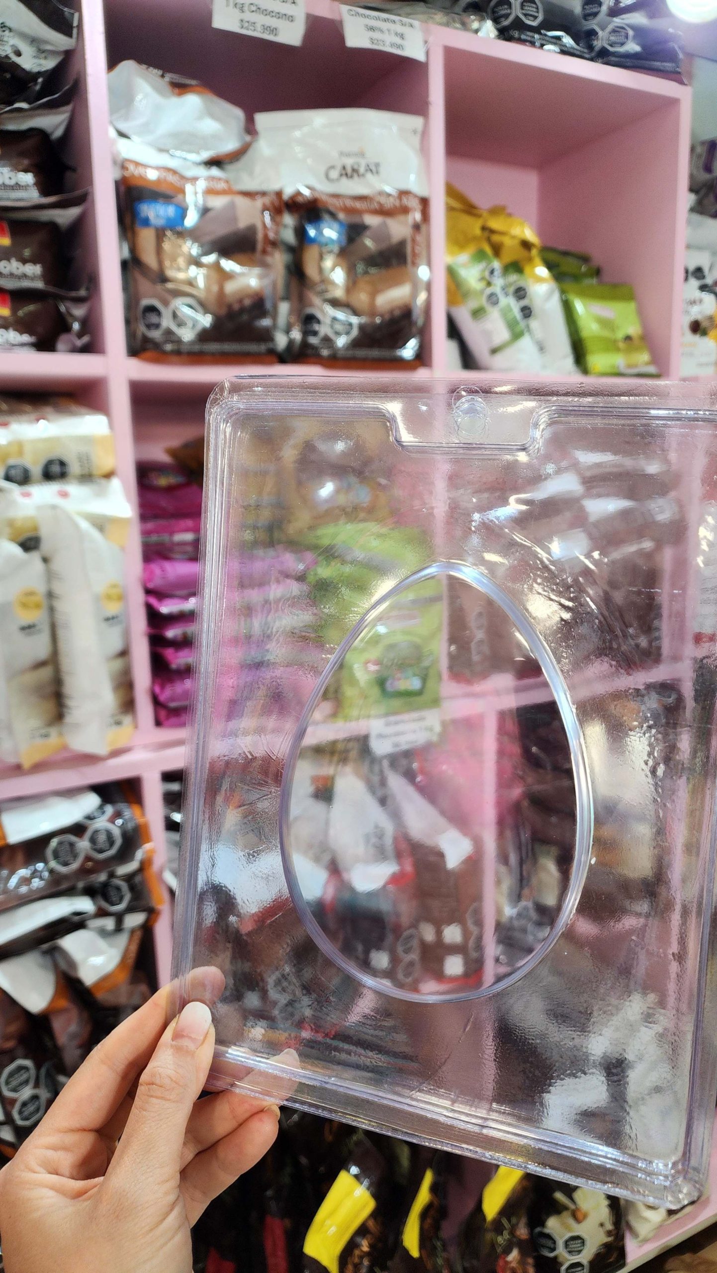 Puma_20260226_110810