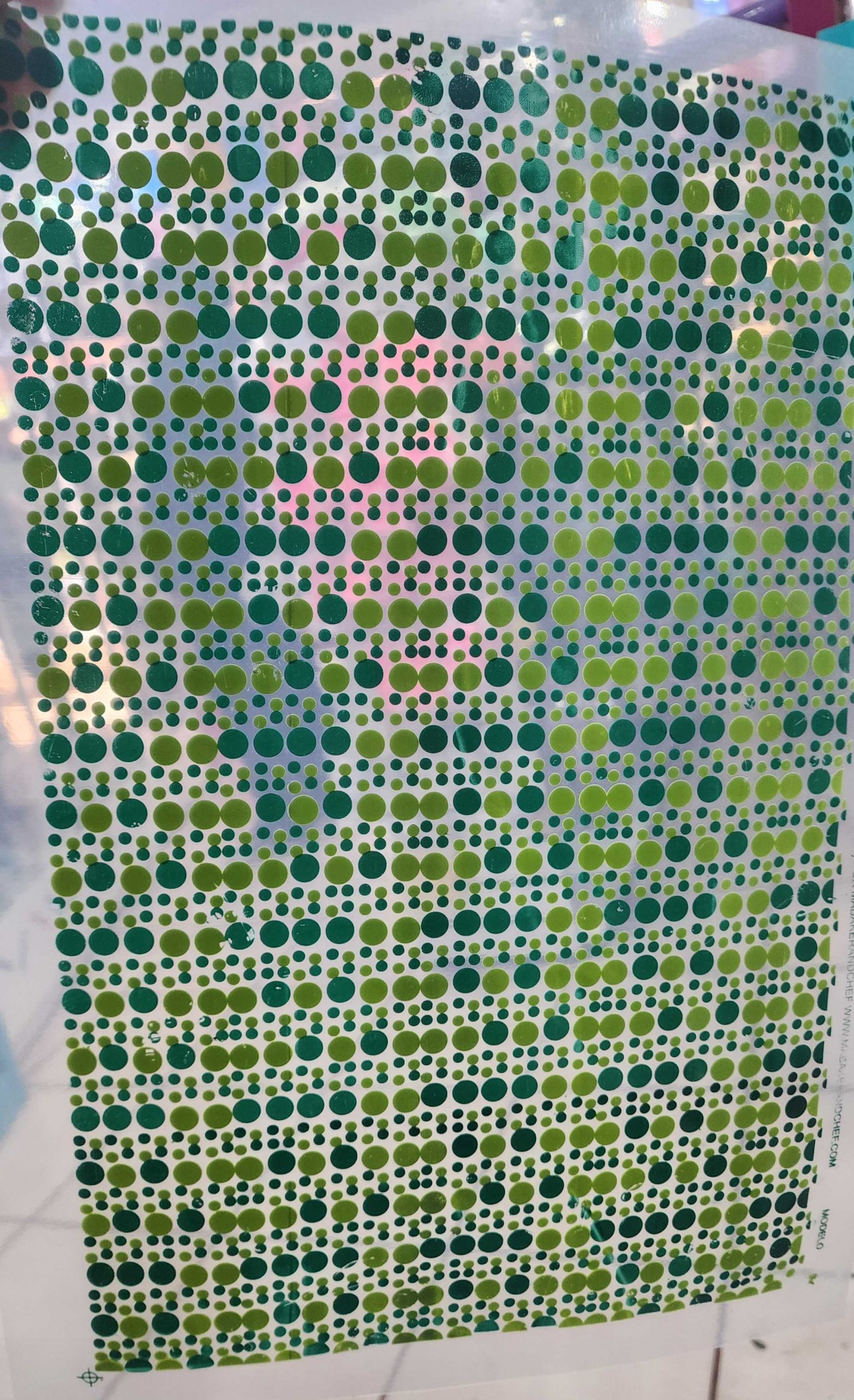 Puma_Puma_20260422_120721